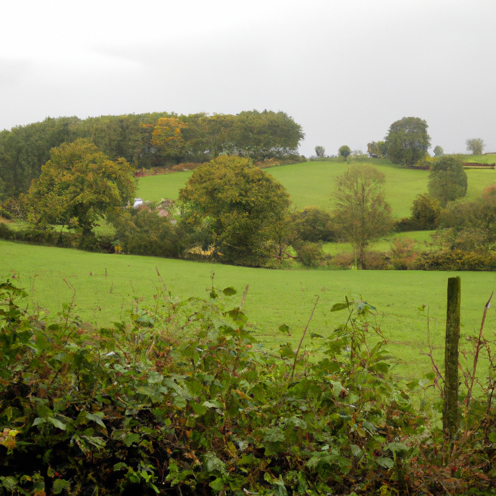 Nature’s Haven: Exploring Serene Rural Landscapes